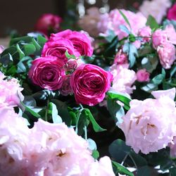 グランド ハイアット 東京の写真4枚目