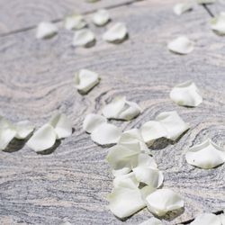 パレスホテル東京の写真19枚目