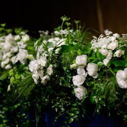 パレスホテル東京の写真5枚目