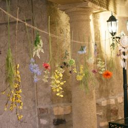 セレス高田馬場 Santa Angeliの写真11枚目