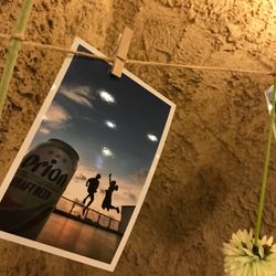 セレス高田馬場 Santa Angeliの写真36枚目