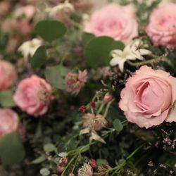 青山セントグレース大聖堂の写真20枚目