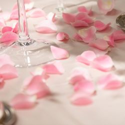 ウェスティンホテル東京の写真17枚目