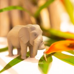 ザ・コンダーハウスの写真21枚目