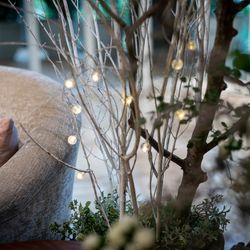 クルヴェット名古屋の写真24枚目