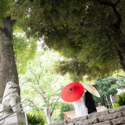 東郷記念館の写真6枚目