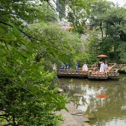 東郷記念館の写真18枚目