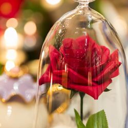 カサ・デ・アンジェラの写真4枚目