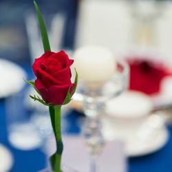 カサ・デ・アンジェラの写真34枚目