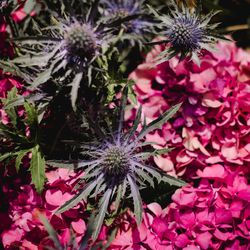 アンダーズ東京の写真22枚目