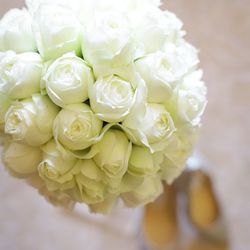 帝国ホテル 東京の写真20枚目