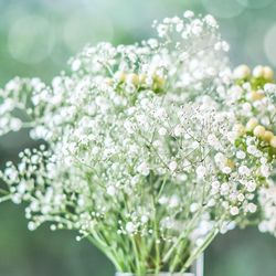 アーブルオランジュの写真10枚目