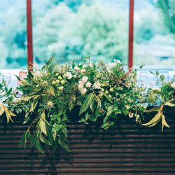 アマンダンヒルズの写真25枚目