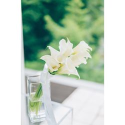 アマンダンヒルズの写真33枚目