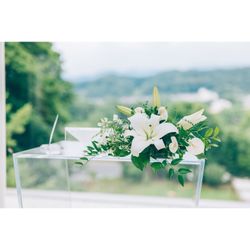 アマンダンヒルズの写真29枚目