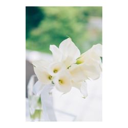 アマンダンヒルズの写真6枚目