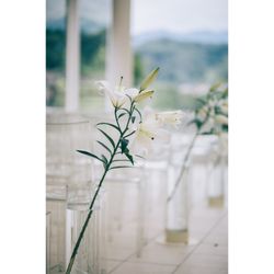 アマンダンヒルズの写真20枚目