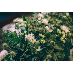 アマンダンヒルズの写真10枚目