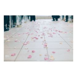 アマンダンヒルズの写真27枚目