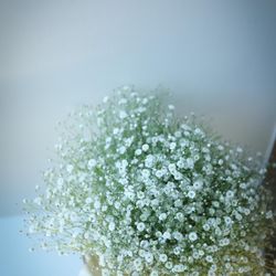 ラソールガーデン名古屋の写真29枚目