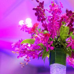 ANAインターコンチネンタルホテル東京の写真18枚目