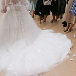 ザ・ミーツ マリーナテラスの写真24枚目