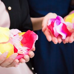 KOTOWA 奈良公園 Premium Viewの写真19枚目