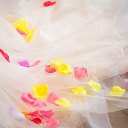 KOTOWA 奈良公園 Premium Viewの写真4枚目