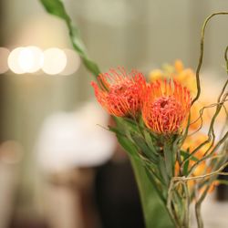 伊勢山ヒルズの写真19枚目