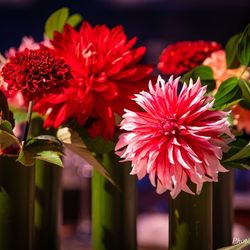 ホテル雅叙園東京の写真5枚目