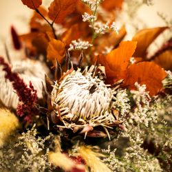 ザ・ベイスイート 桜島テラスの写真19枚目