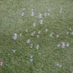 ジェネラス軽井沢の写真27枚目