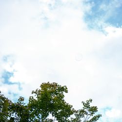 ジェネラス軽井沢の写真12枚目