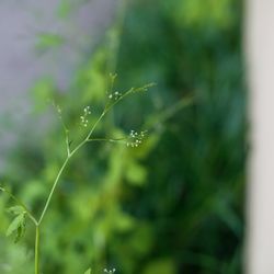 ジェネラス軽井沢の写真11枚目