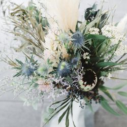 SOLA KOBEの写真21枚目