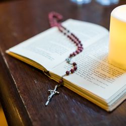 ザ・カワブンナゴヤの写真32枚目