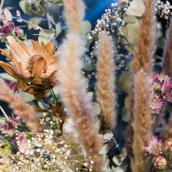 ザ・カワブンナゴヤの写真12枚目