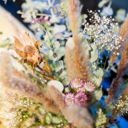 ザ・カワブンナゴヤの写真36枚目