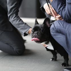 TRUNK HOTELの写真32枚目