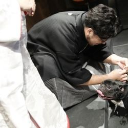 TRUNK HOTELの写真14枚目