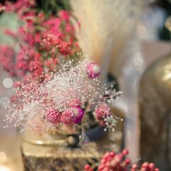 ザ ナンザンハウスの写真21枚目