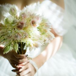 ラソールガーデン名古屋の写真34枚目