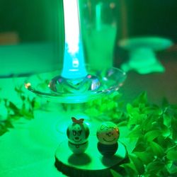 麗風つくば シーズンズテラスの写真22枚目