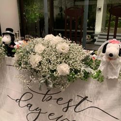 麗風つくば シーズンズテラスの写真19枚目