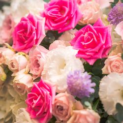 麗風つくば シーズンズテラスの写真29枚目