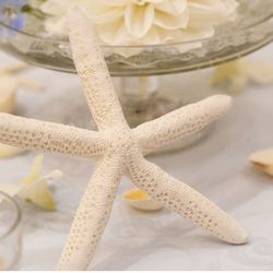 ザ・ミーツ マリーナテラスの写真24枚目