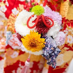 KOTOWA 奈良公園 Premium Viewの写真17枚目