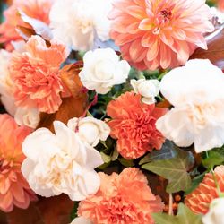 KOTOWA 奈良公園 Premium Viewの写真22枚目