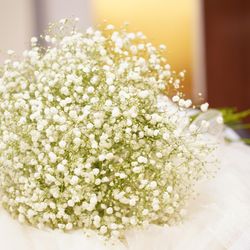 ディアステージつくばフォレストテラスの写真4枚目