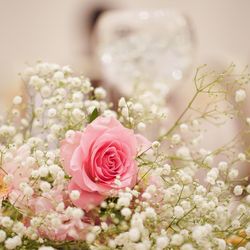 ディアステージつくばフォレストテラスの写真33枚目